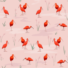 Scarlet ibises seamless texture