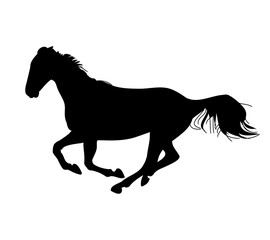The gallop of the horse 0 (silhouette)