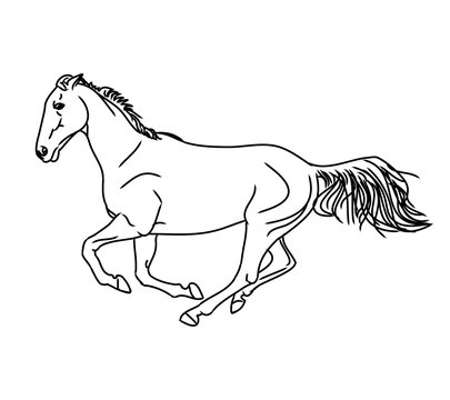 The gallop of the horse 0 (outline)