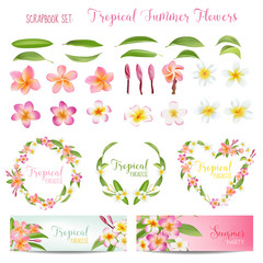 Tropical Flowers and Leaves Set. Exotic Plumeria Flower. Floral Decoration - obrazy, fototapety, plakaty