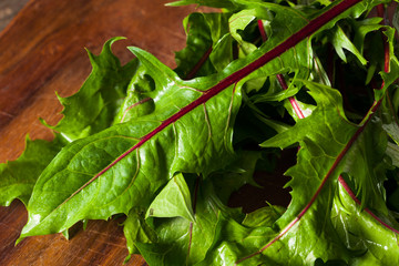 Raw Organic Red Dandelion Greens © Brent Hofacker