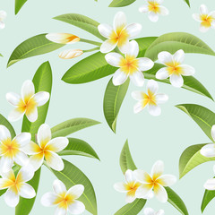 Tropical Flowers and Leaves Pattern. Seamless Background. Exotic Flowers