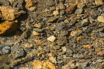 Crystal Clear Creek with Rocky Bottom