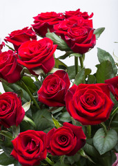bouquet of blossoming dark red roses