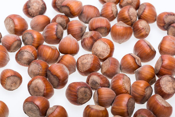 Pile of hazelnuts isolated on white background