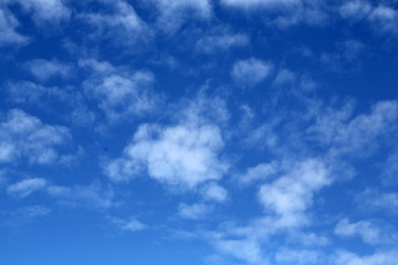White clouds on the blue sky