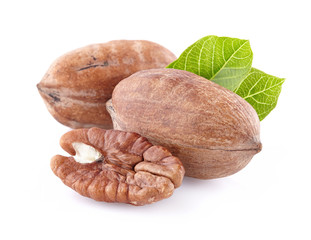 Obraz premium Pecan with leaves