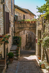 Fototapeta na wymiar Antico vicolo di Spello