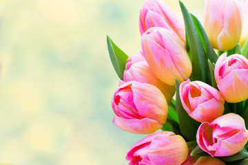 Spring flowers. Tulip bouquet on the bokeh background.