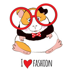 Guinea pig in red round glasses.