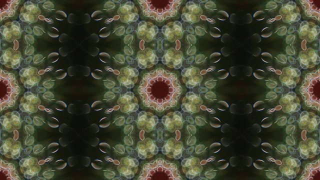 Amazing kaleidoscopic colored seamless pattern with row eight petal flower structure. Excellent animated scaly background in full HD. Adorable trembling crystal visuals for decorative intro