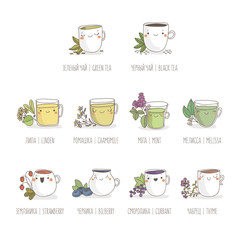 Cute vector set of tea and herbs. Handmade vector illustration - 108168124