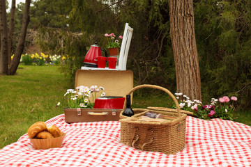 Picnic in the spring park