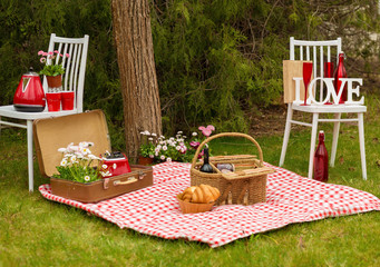 Picnic in the spring park