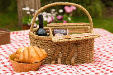 Picnic in the spring park