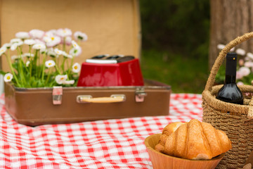 Picnic in the spring park
