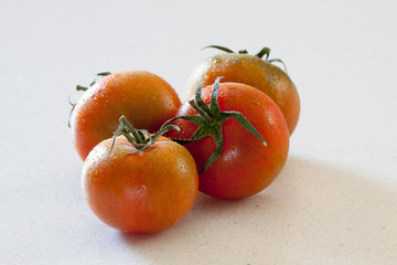 Pomodori sardi freschi su sfondo chiaro