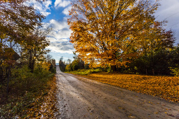 the view down a scenic country roadway in autumn landscape