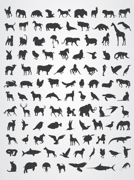  Animals Silhouette Pack Vector.