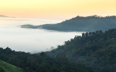 Sunrise in early morning with fog from the top of the mountain