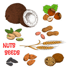 Nuts, seeds, beans and cereal sketch symbol