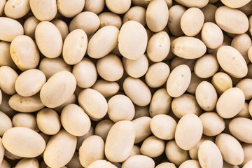 white beans macro texture background