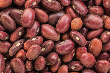 beans macro texture