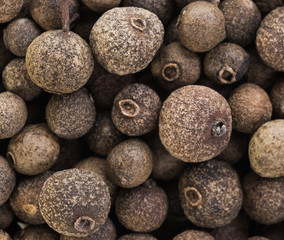 Allspice macro