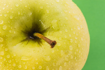 apple on a green background