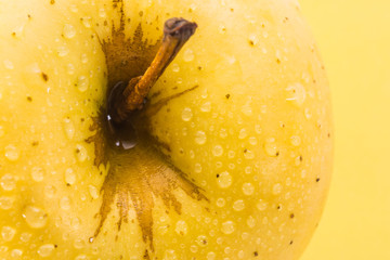 apple on a yellow background