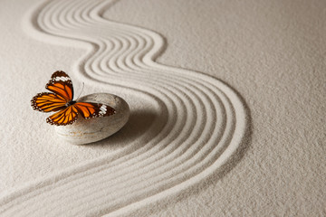 Fototapeta na wymiar Zen butterfly
