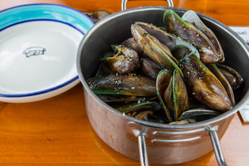 green lipped mussels steamed in new zealand