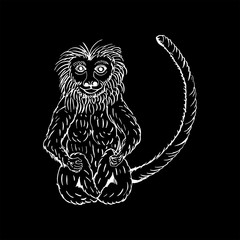 Fototapeta premium monochrome hand draw a monkey
