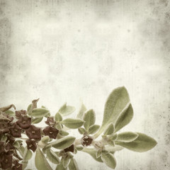 textured old paper background