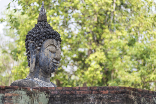 Big buddha image with green leafs background Sukhothai province Thailand.