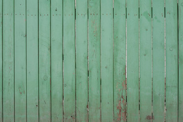 Wood background gray with green / vertical texture