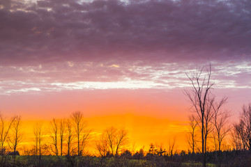 colorful rural sunset scene in late autumn