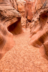 Narrow red sandstone canyon carved and eroded by water into fantastic shapes. Adventure travel