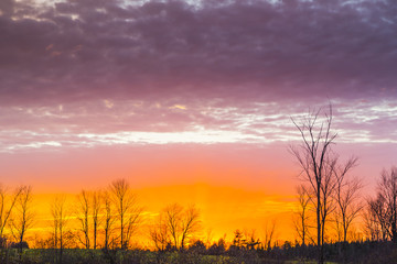 Fototapeta na wymiar colorful rural sunset scene in late autumn