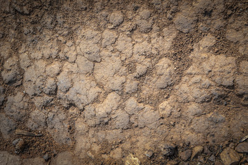 Close up of the cracked ground, dry soil texture for background