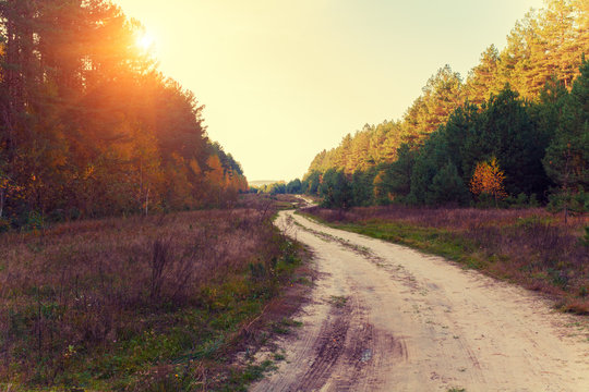 Rural autumn landscape, dirt road