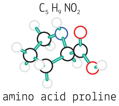 C5H9NO2 proline amino acid molecule