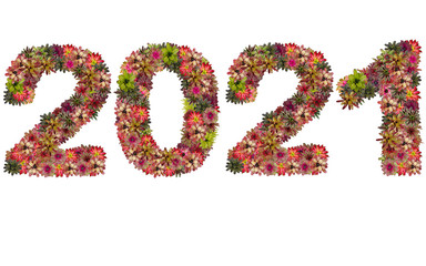 New year 2021 made from bromeliad flowers isolated on white back