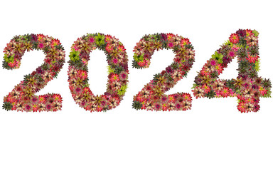 New year 2024 made from bromeliad flowers isolated on white back