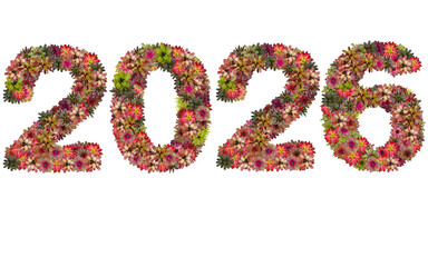 New year 2026 made from bromeliad flowers isolated on white back