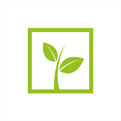 plant in square logo