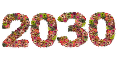 New year 2030 made from bromeliad flowers isolated on white back