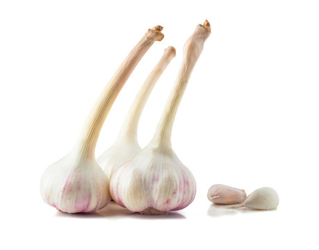 Garlic On A White Background