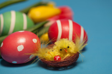 Yellow chicken on a background of Easter eggs