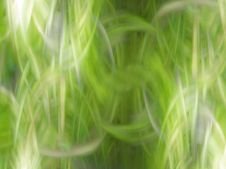 Abstract spring